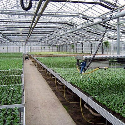 河南绿之茵农业技术开发有限公司齐全 河南中空玻璃温室花卉蔬菜育苗V96图片-河南绿之茵农业技术开发有限公司 -