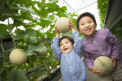 箱根温泉集团与台湾品牌农业推广协会达成独家战略合作