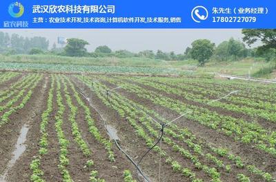 农业喷灌系统设计|汉口农业喷灌系统|欣农科技